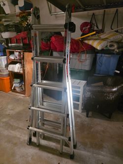 little giant ladder