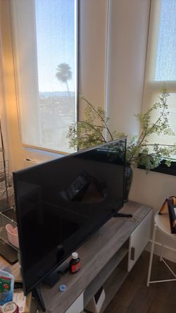 Insignia TV bought in 2023