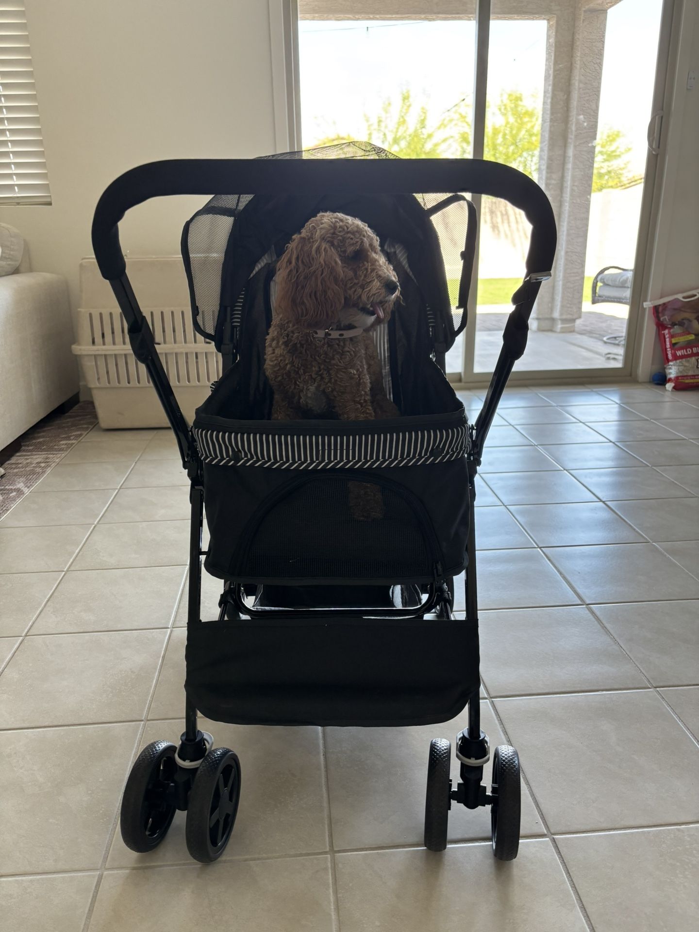 Dog Stroller