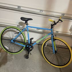 Adult Cruiser 