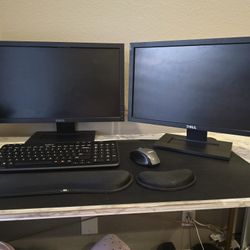 2 DELL Computer Monitor
