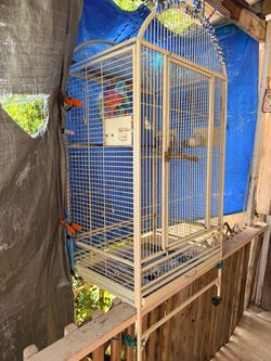 2 parrot cages