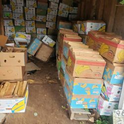 Firewood Bundles In A Banana Box Double A Store Bundle Clean And Ready To Burn 🔥 