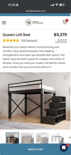 Adult loft bed NEED GONE TODAY MAKE OFFER