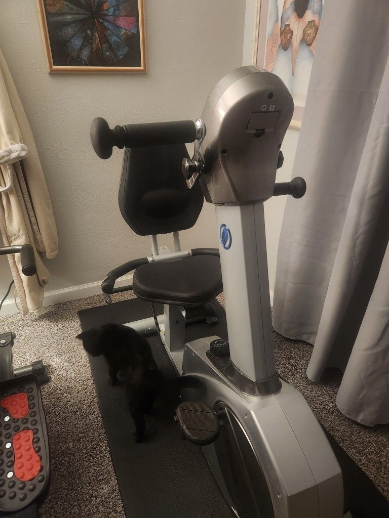 Stamina Elite Total Body exercise bike