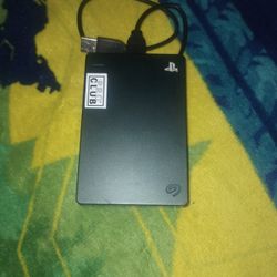 PS4 Storage Device