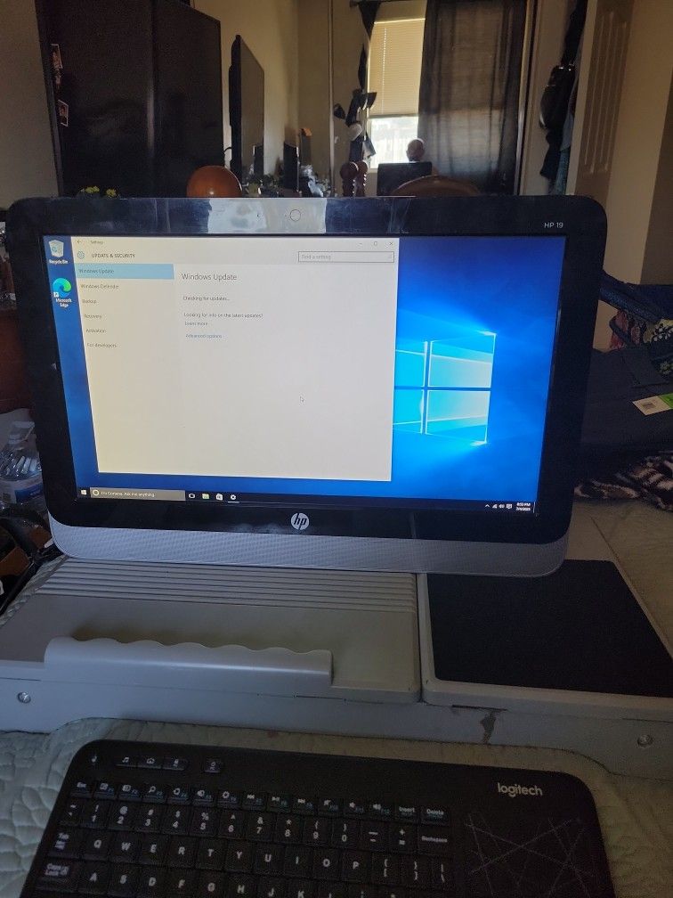 HP 19