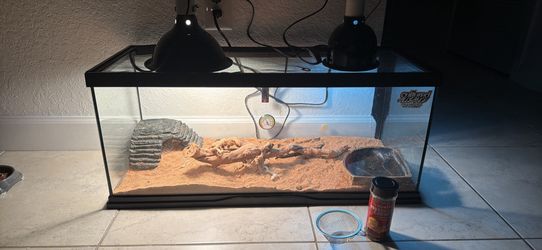 Selling Reptile Tank With Everything