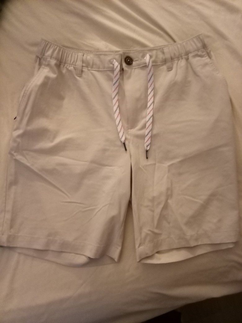 Barely Used Chubbies Shorts (Men's Size Large)