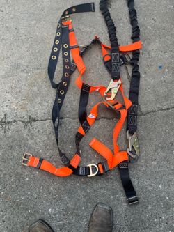 Safety harness