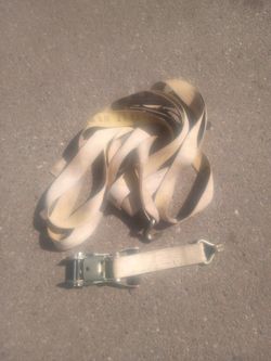 Professional Tie Down Strap