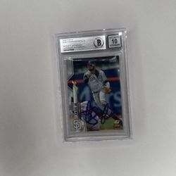 Fernando Tatis Jr 2020