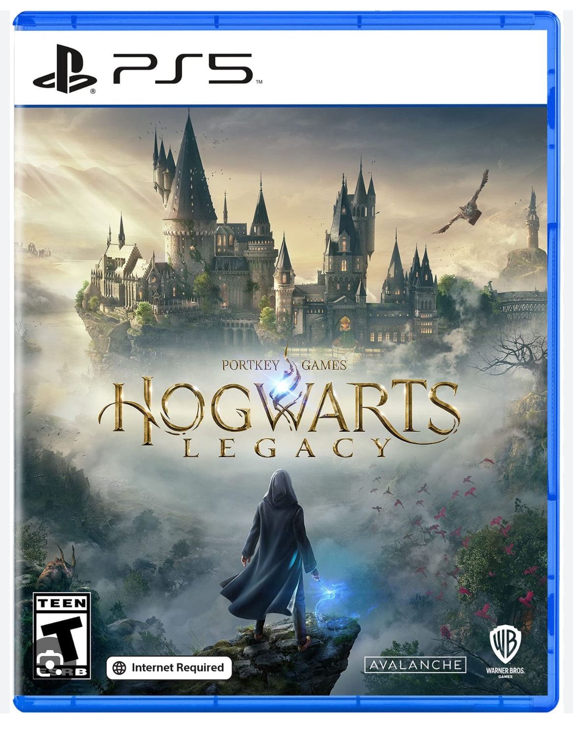 Ps5 Howarts Legacy