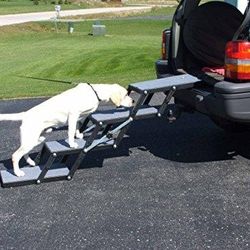 Pet Loader Light 16″ Platform