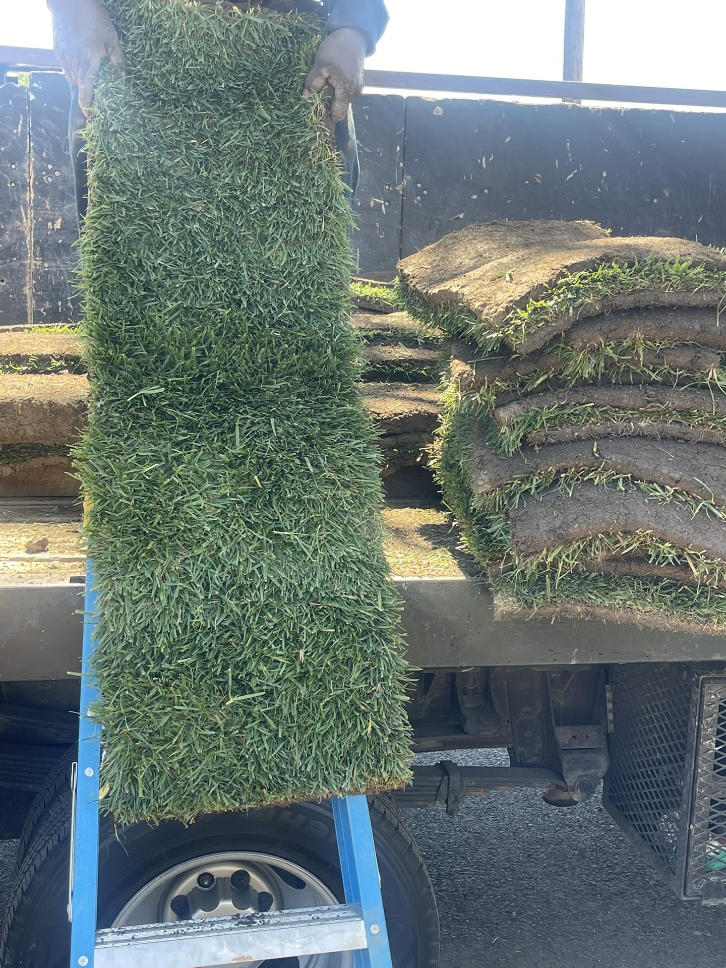 Grass And sprinklers $3 Per Sq/ Ft