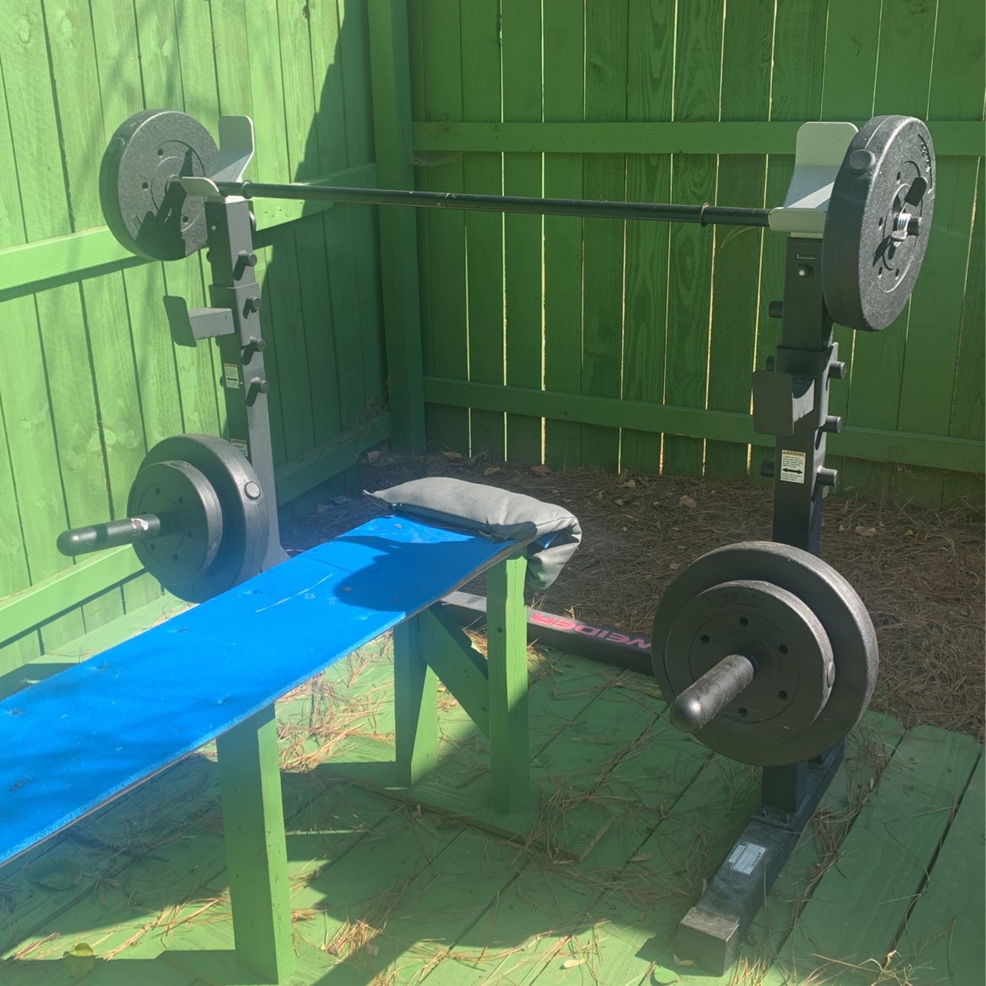 Bench Press