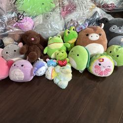 Squishmallows and Stuffed Animals