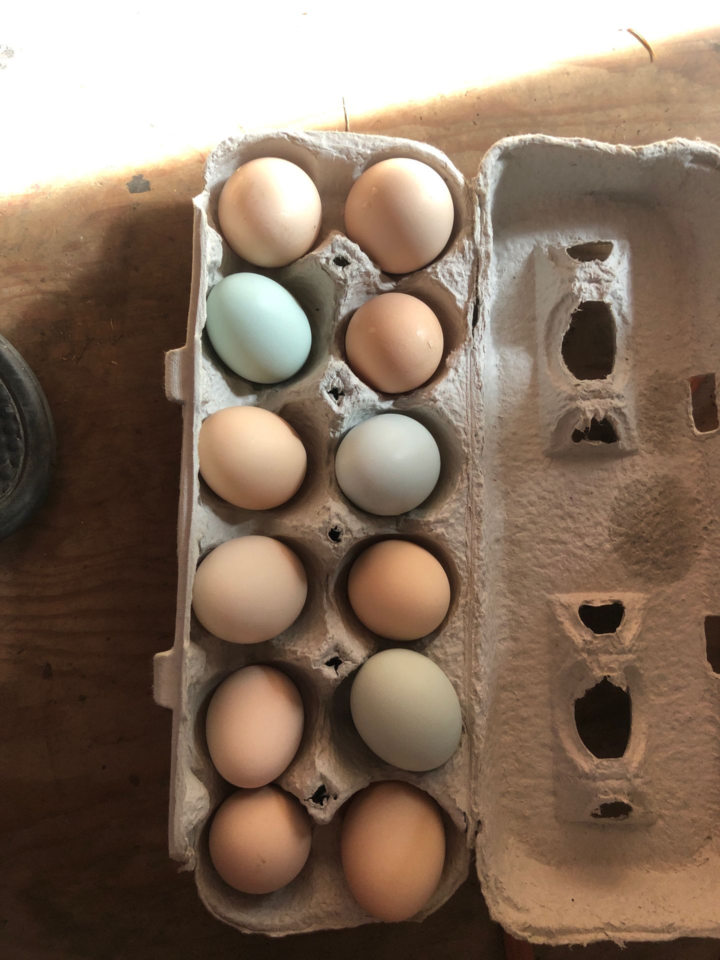Fresh farm eggs