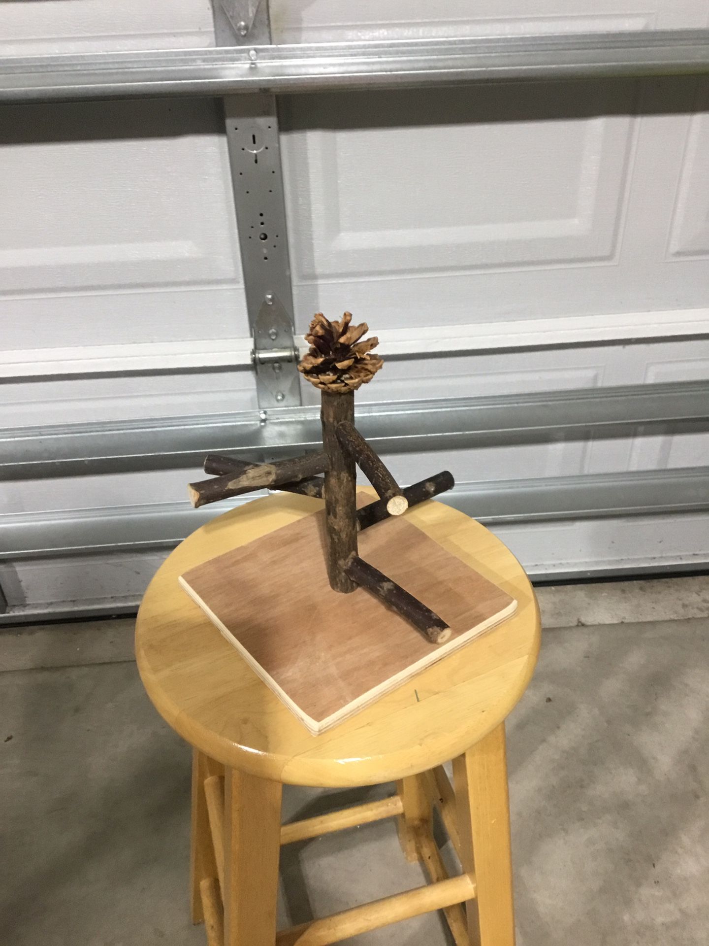Parakeet Stand