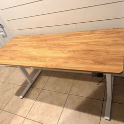 Adjustable Electric Standing Desk 