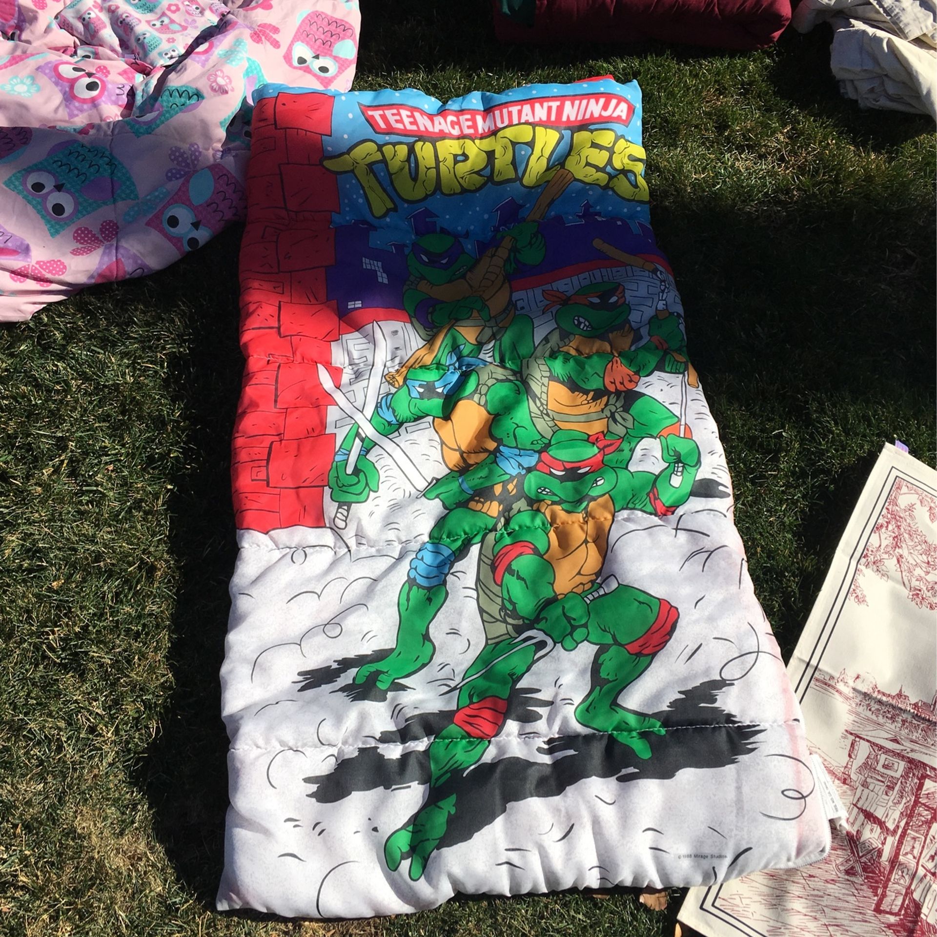 Ninja Turtle Sleeping Bag