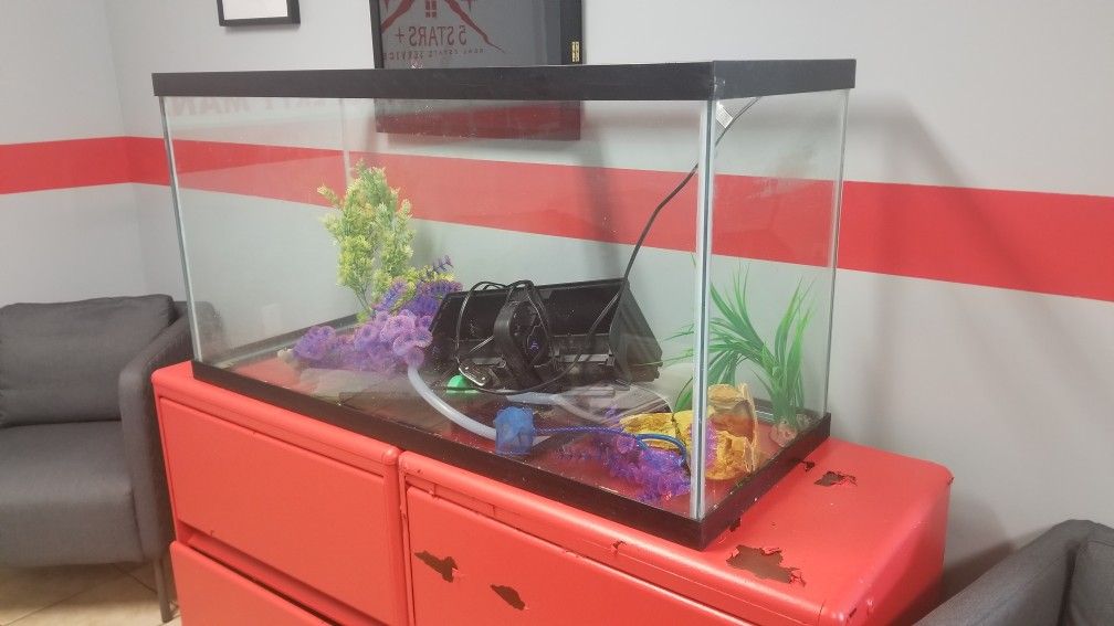 90 gallon aquarium with decorations, filter and light