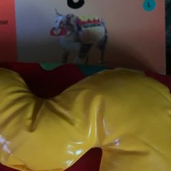 Pet Costume Large