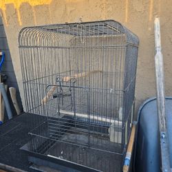 Bird Cage 