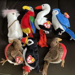 Ty Beanie Babies / BIRDS