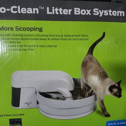 Auto-Clean Litter Box System
