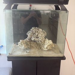 Fish Tank 
