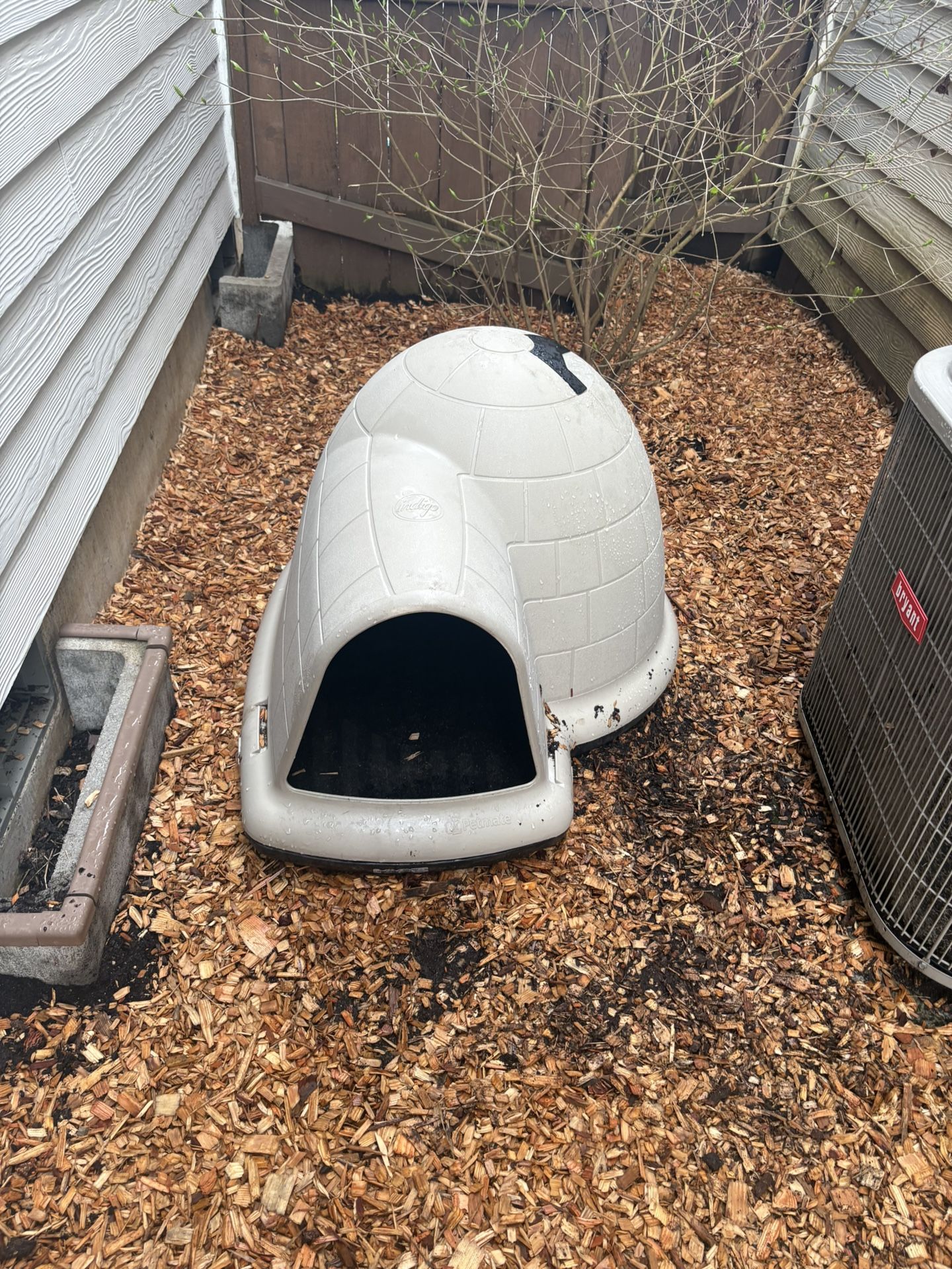Medium Dog Igloo