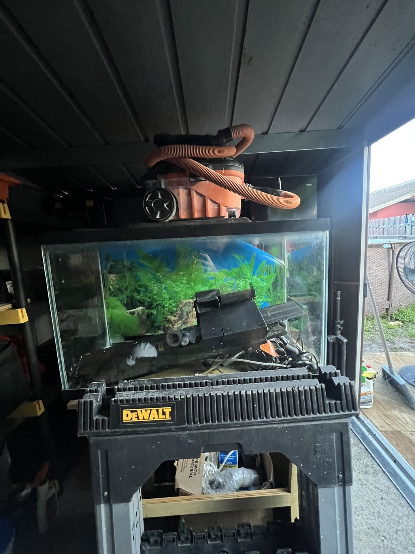 Fish Tank With Items Needed For Fish