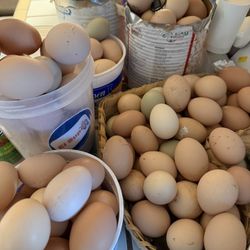 Huevos Orgánicos /organic Eggs 