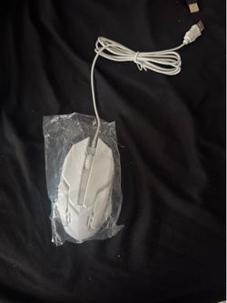Mouse