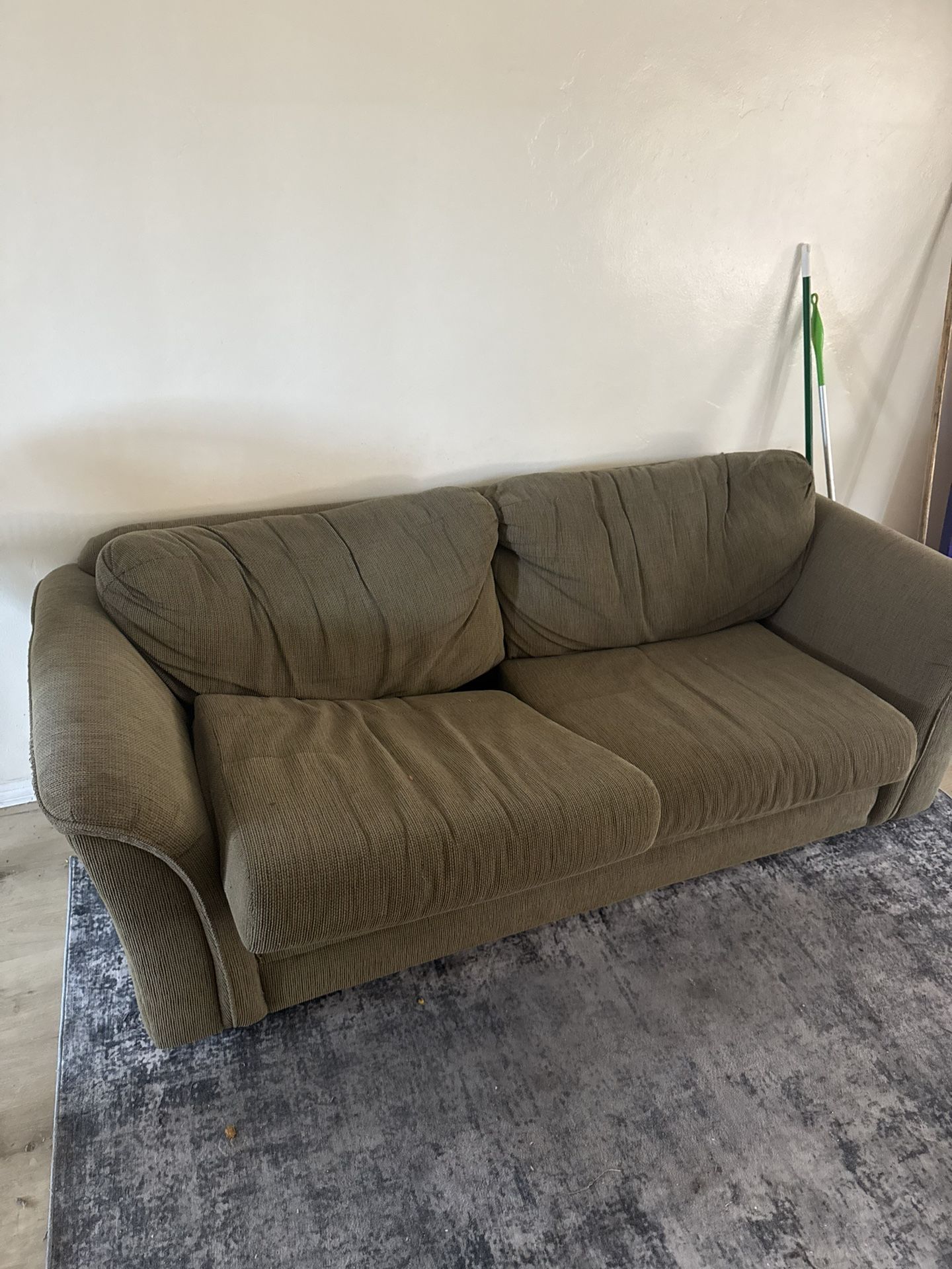 Free Pull Out Couch With Cushions