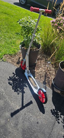 Razor scooter Folds