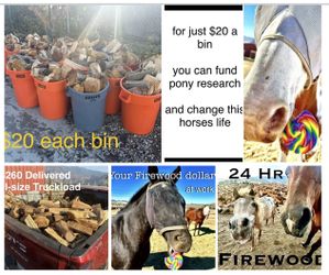 Firewood Funding Pony Research 
