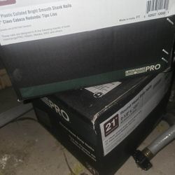 Round Head Strip Nails