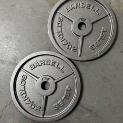Pair Of 45 Pound CAP Olympic Weights