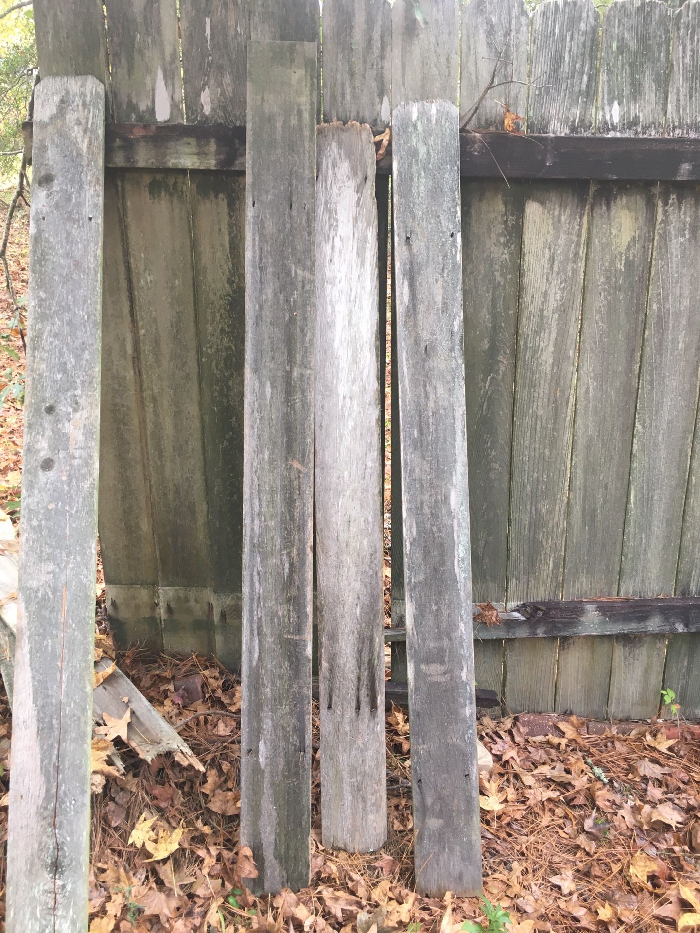 Reclaimed Cedar Pickets 6’x5-1/2”