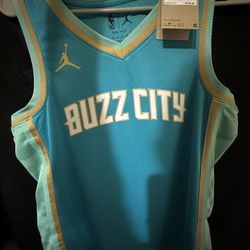 Charlotte Hornets Jersey; No Name No Number 