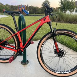 Scott scale custom sale