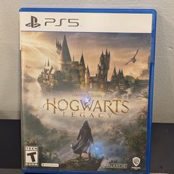 Hogwarts Legacy Ps5 