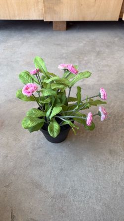 Decoration Pot