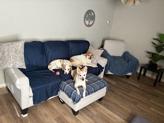 Brand new couch set! Used less than a year.