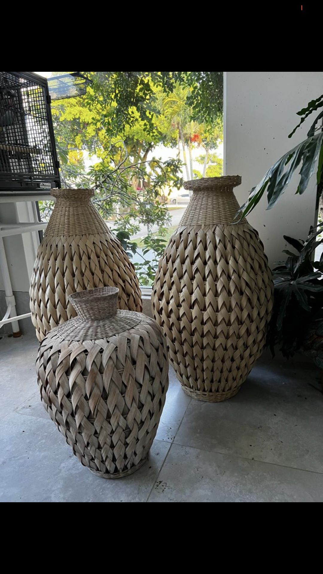 Decor Bamboo 3 Vases , $160 