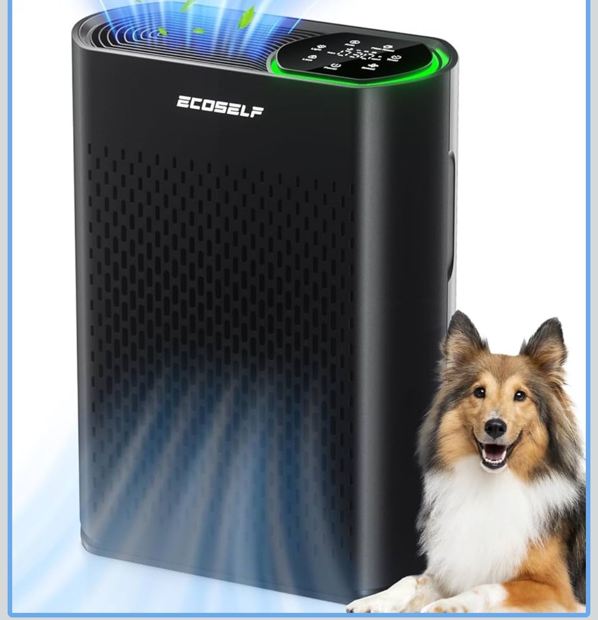 Air Purifiers for Home