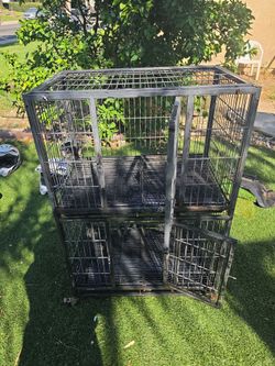 Cage