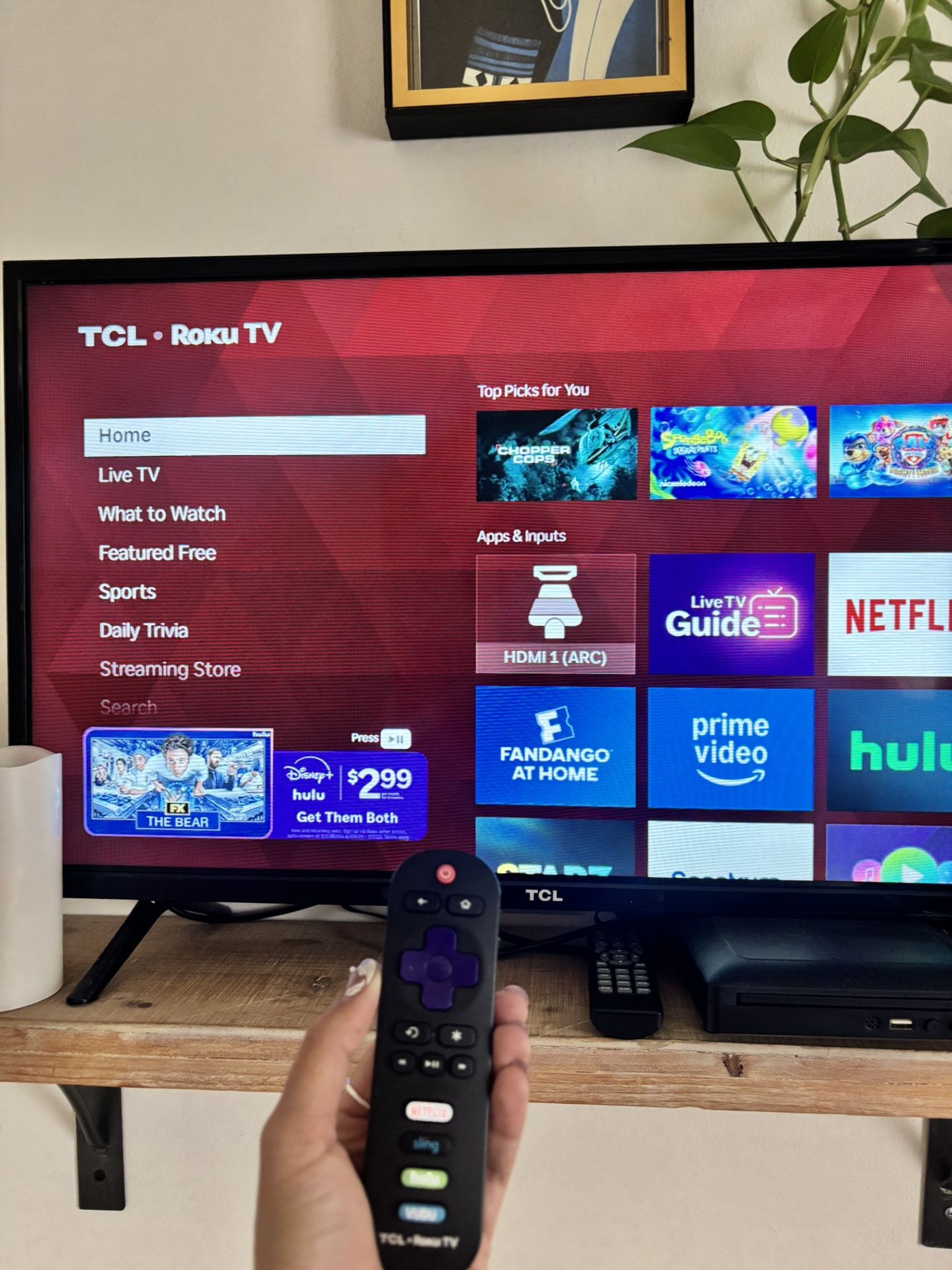 24 inch tcl tv